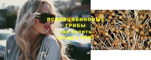 трава Осинники